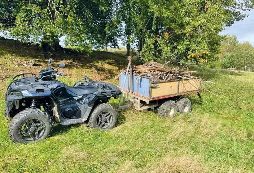 Damwildfarm In Rollerbü Südschweden