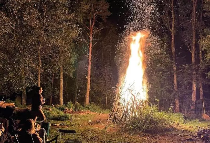 Damwildfarm In Rollerbü Südschweden
