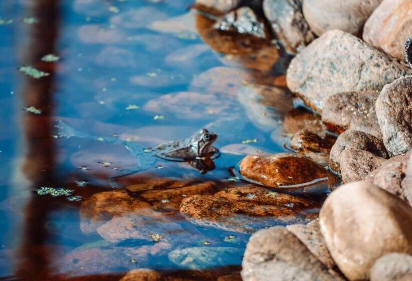 Damwildfarm In Rollerbü Südschweden