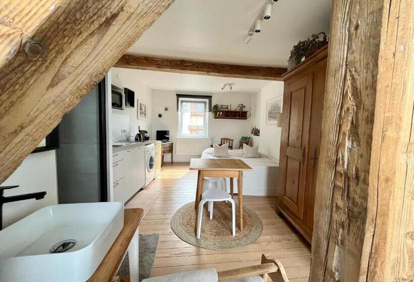 Le Passage Des Cinq   5 Min Du Tram 15 Min Strasbourg Centre