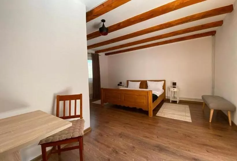 ペンション Casa De Vacanta Family & Friends