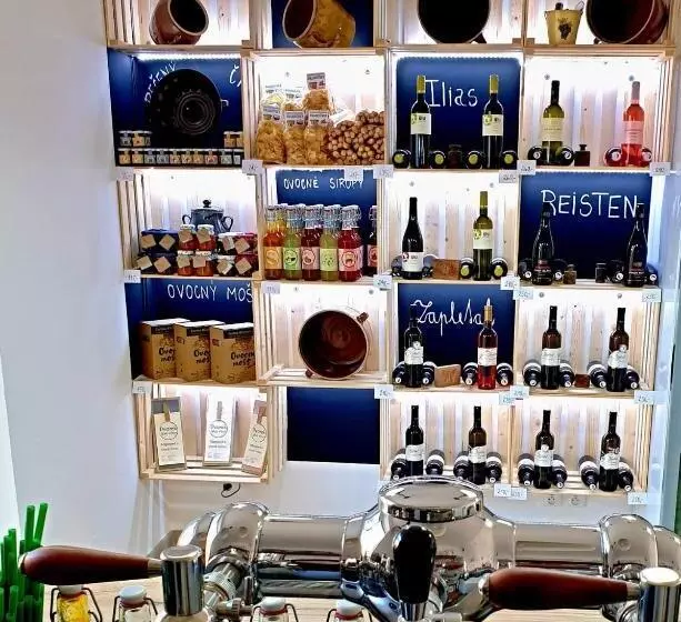 ペンション Penzion Jako Víno