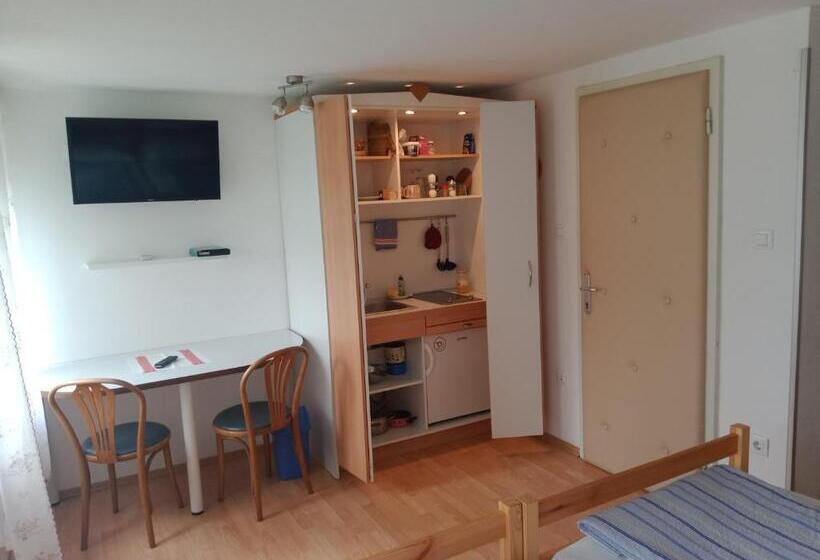 پانسیون Sobe černilogar