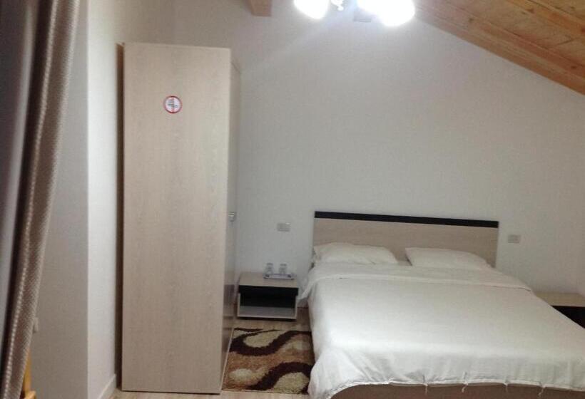 Pensiunea Alexandra Livia