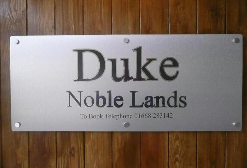 Общежитие Noble Lands