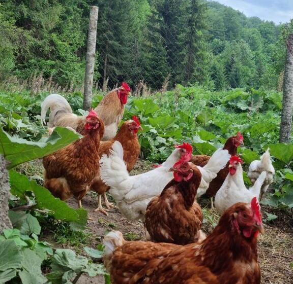 Farmstead Green Haven