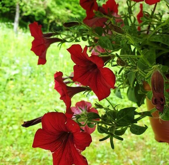 Farmstead Green Haven