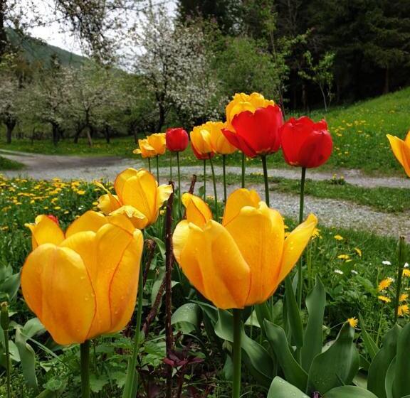 Farmstead Green Haven