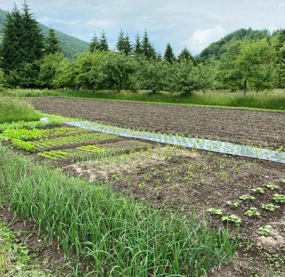 Farmstead Green Haven