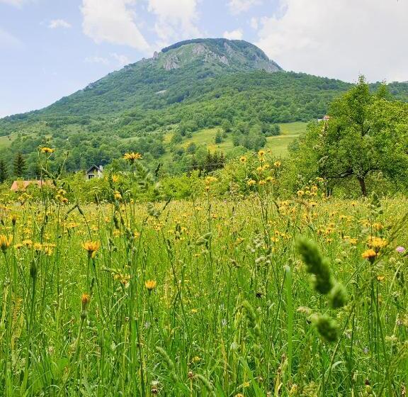 Farmstead Green Haven