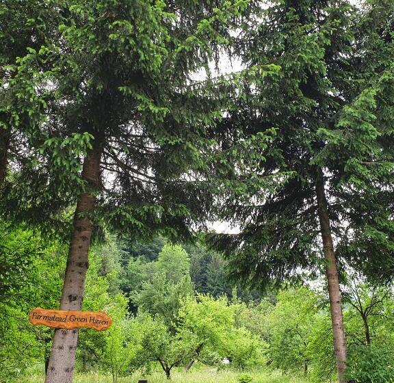 Farmstead Green Haven