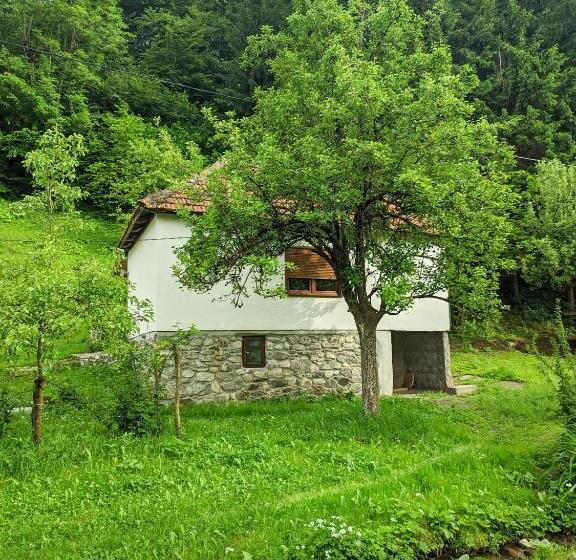 Farmstead Green Haven