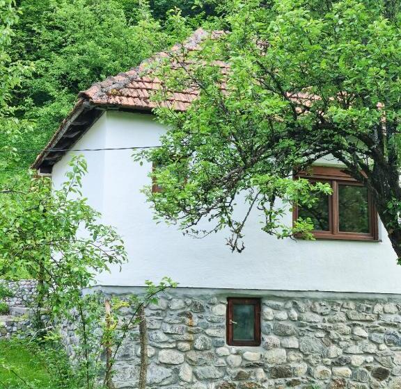 Farmstead Green Haven