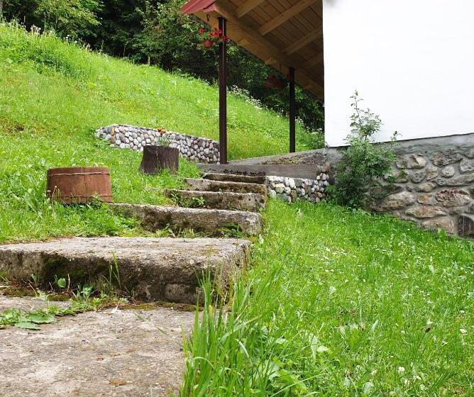 Farmstead Green Haven