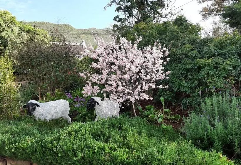 Majatalo Over Karoo Inn