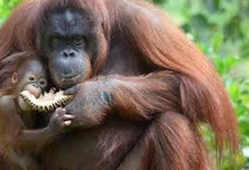 Quirky Loft Apartment In Paignton With Sea Views