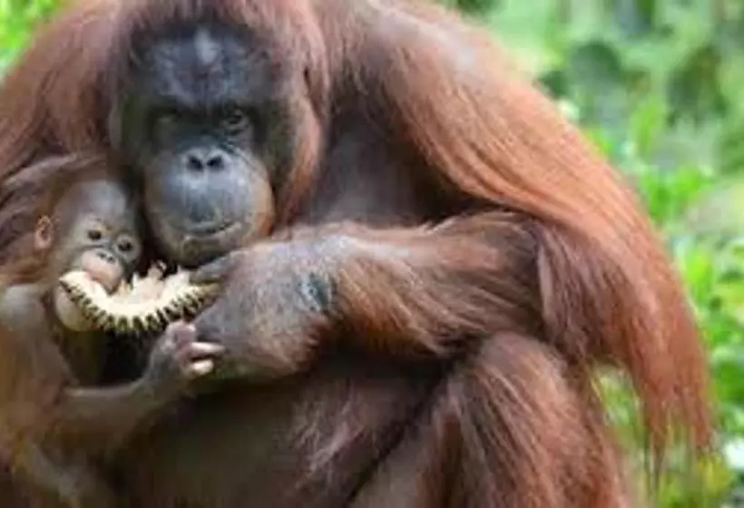 Quirky Loft Apartment In Paignton With Sea Views