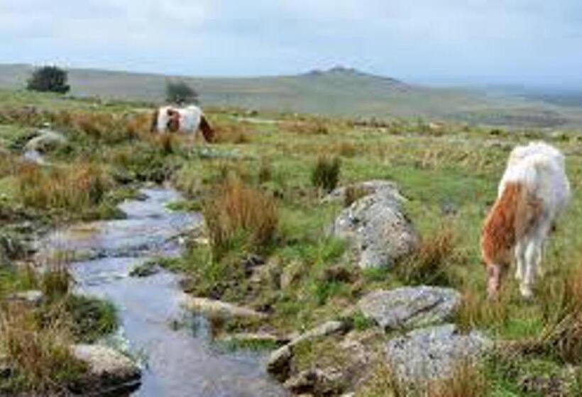 Quirky Loft Apartment In Paignton With Sea Views