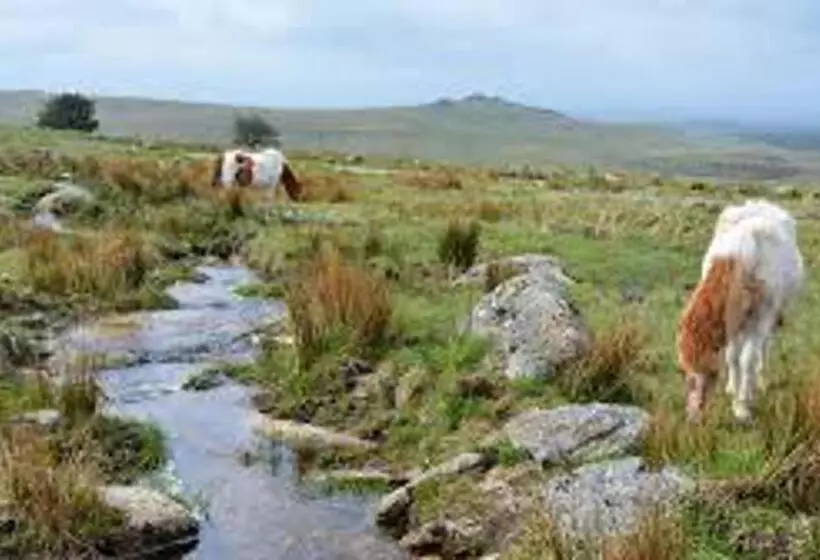 Quirky Loft Apartment In Paignton With Sea Views