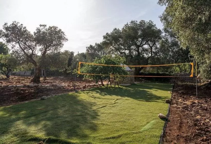 Trulli Cicale E Olive