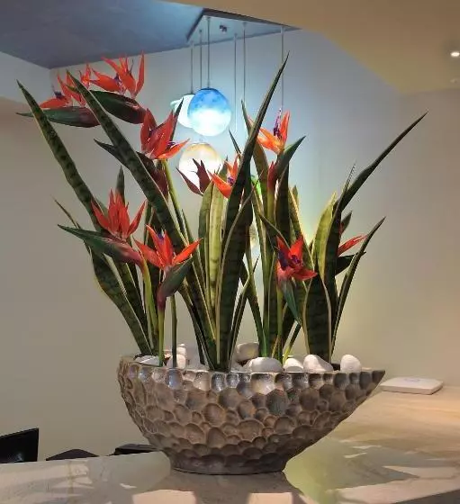 هتل Nelia Gardens