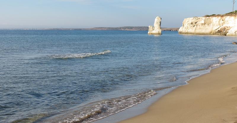 Отель President Sea Palace