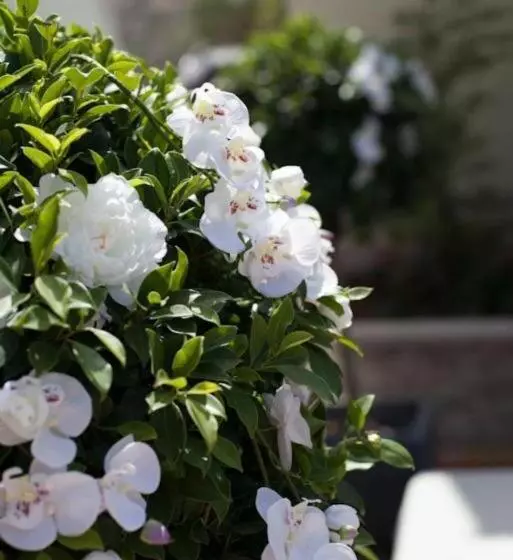 호텔 Restaurante El Corte