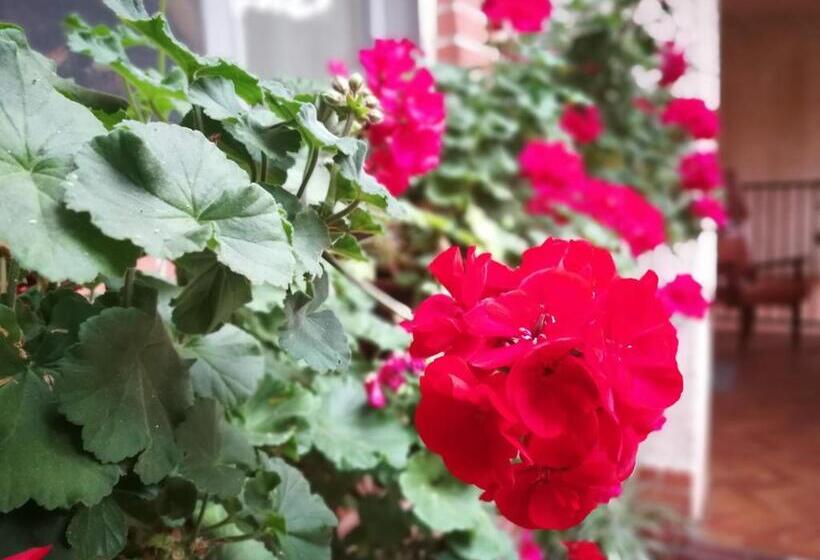 B&b Leggieri Villa Siria