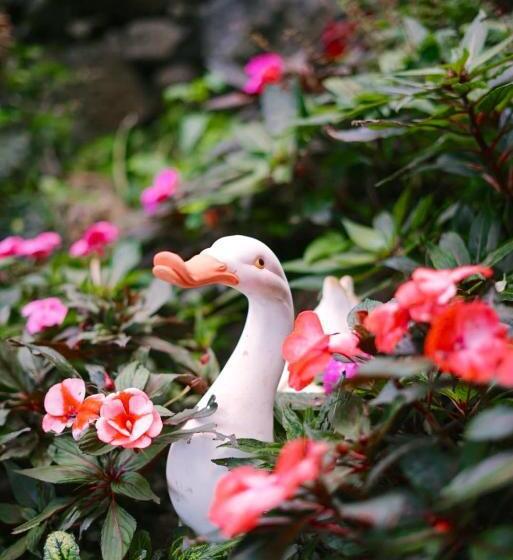 민박 Gardens Guest House