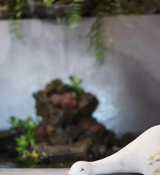 ベッドアンドブレックファースト Gardens Guest House