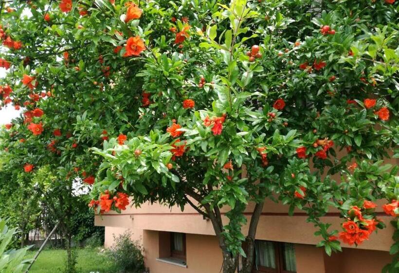 Casa Vacanze Sportholiday House Segusino Valdobbiadene