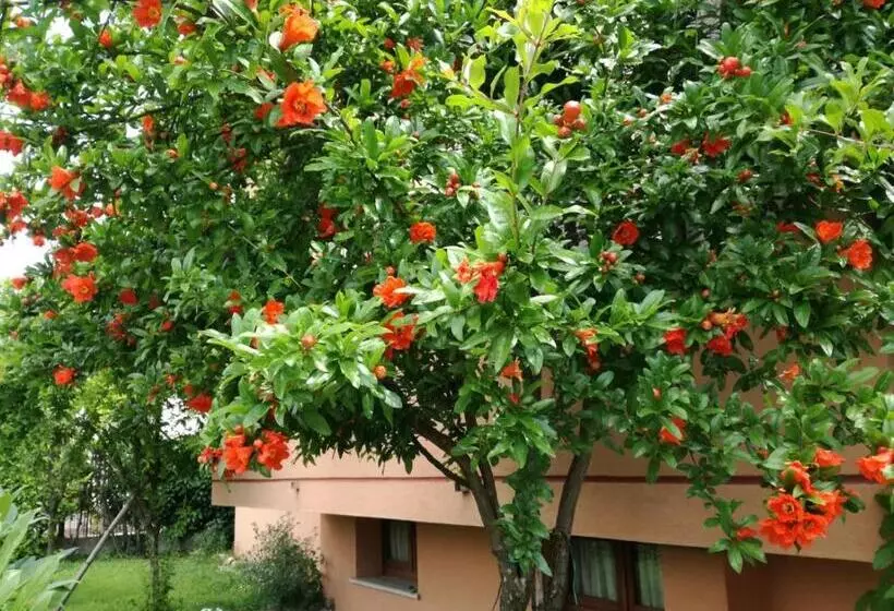 Casa Vacanze   Sportholiday House Segusino Valdobbiadene