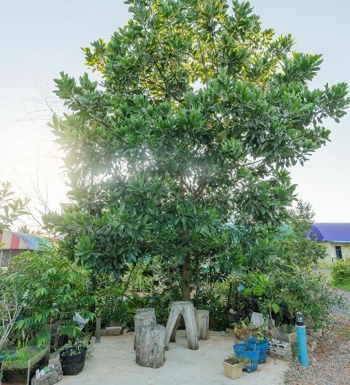 リゾートホテル Ariya Garden Home