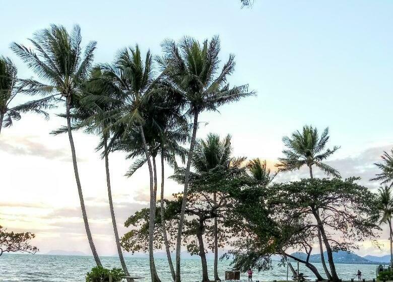 リゾートホテル Paradise In The Tropics