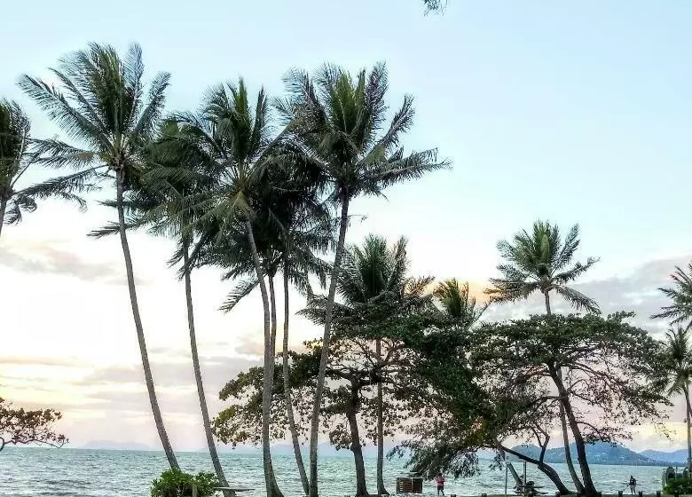 Lomakeskus Paradise In The Tropics