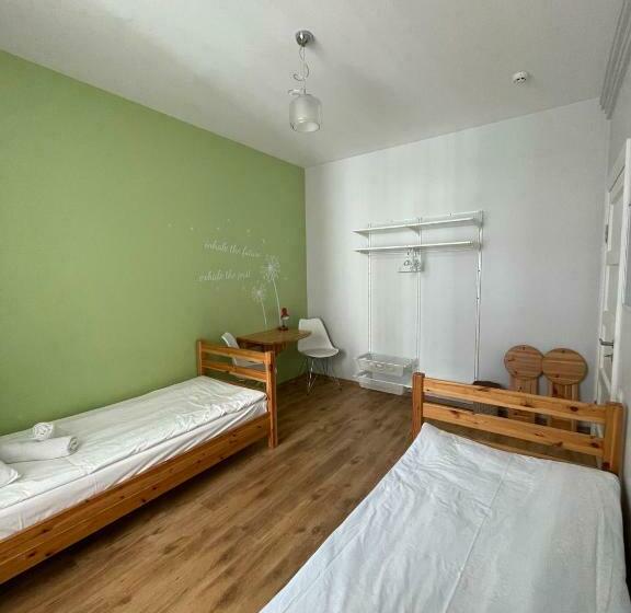 هاستل Orange Cat Rooms