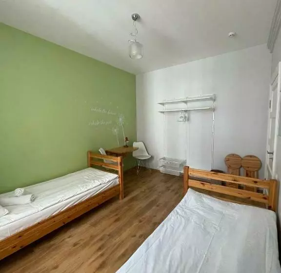 هاستل Orange Cat Rooms