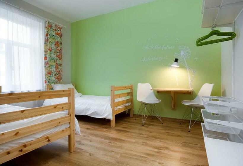 هاستل Orange Cat Rooms