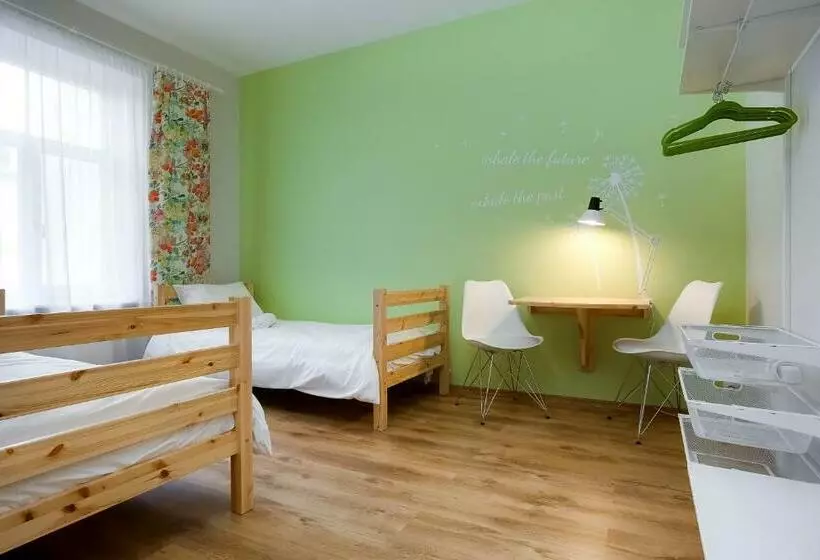 هاستل Orange Cat Rooms