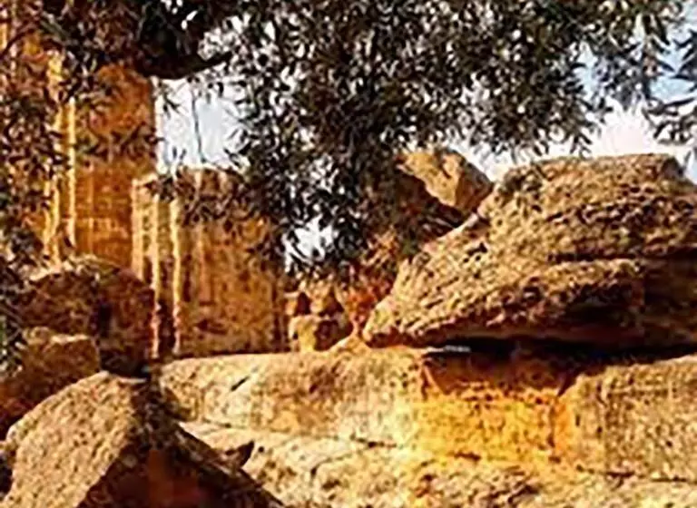 تختخواب و صبحانه La Città Degli Dei