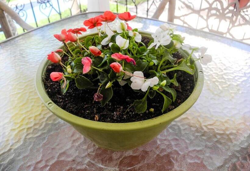 צימר La Posada Del Tepeyac