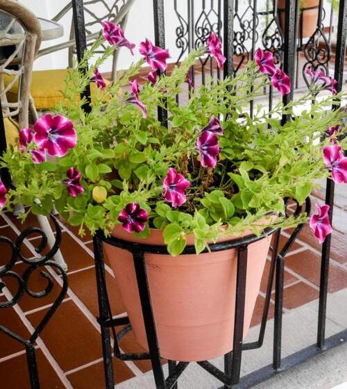 צימר La Posada Del Tepeyac