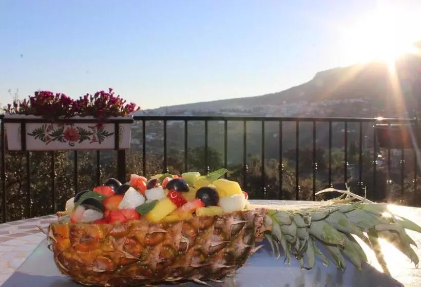 Bed And Breakfast Mirador Infinito