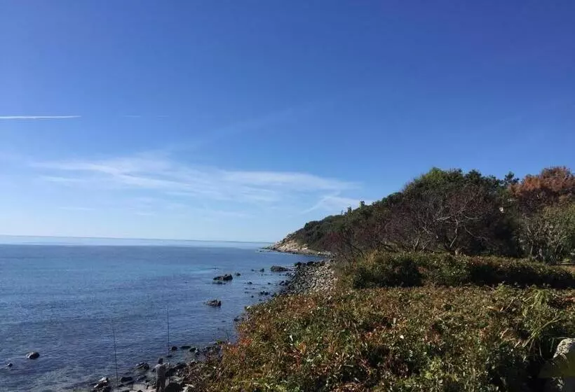 ペンション Affittacamere In Centro