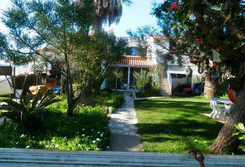 Пансион Casa Das Palmeiras