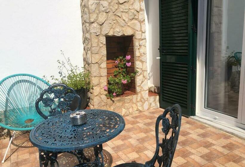 بنسيون Casa Gigi