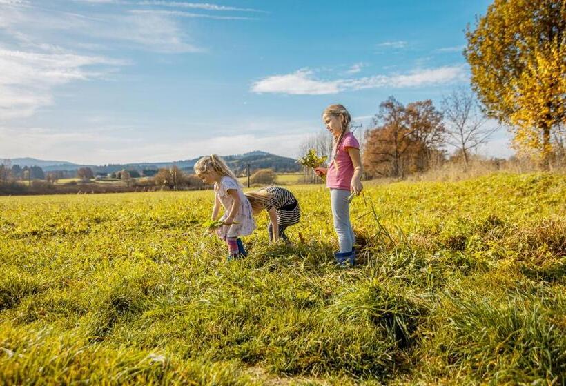 Пансион Penzion Sněžná Volary