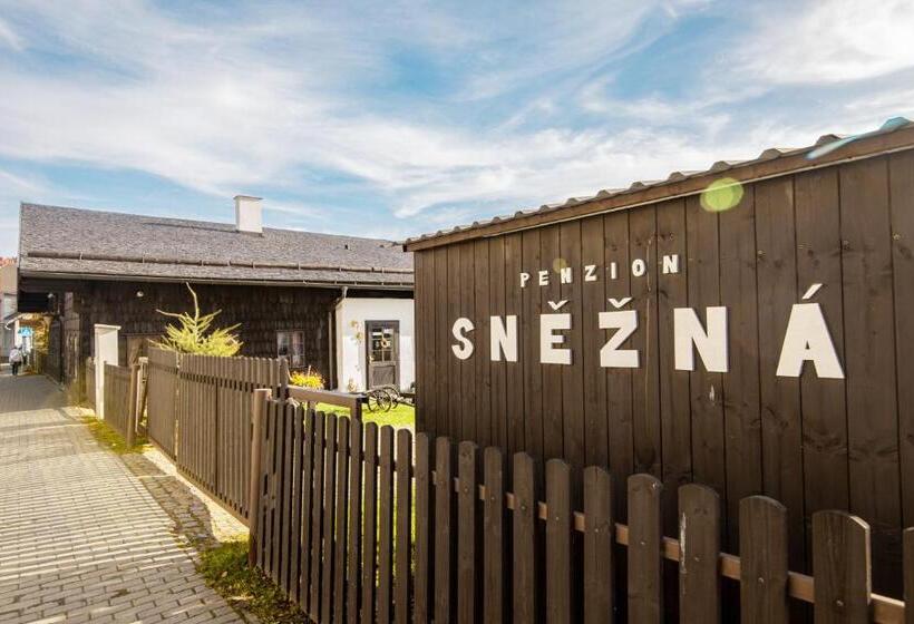 Пансион Penzion Sněžná Volary