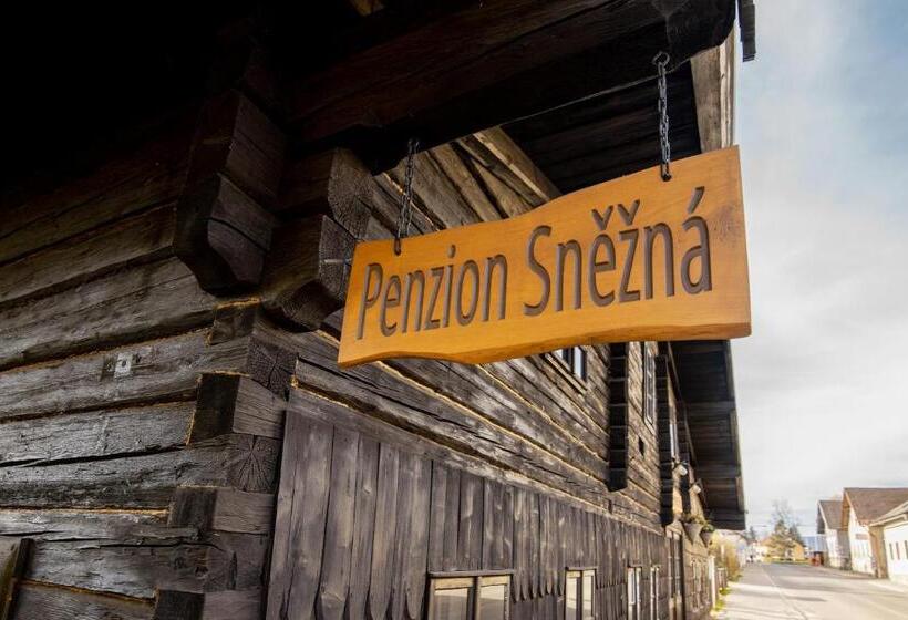 Пансион Penzion Sněžná Volary