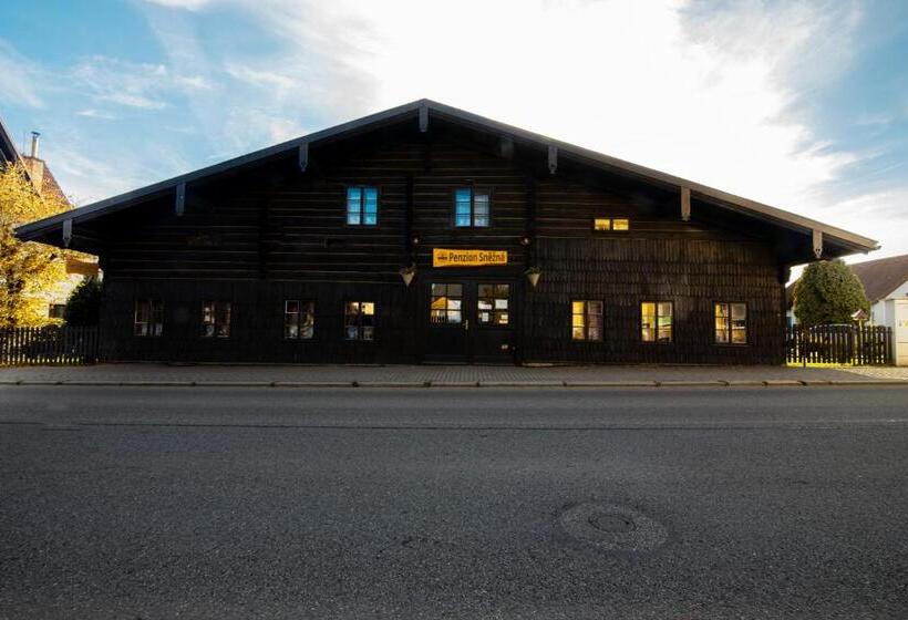 Пансион Penzion Sněžná Volary